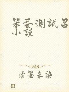 笨蛋测试召唤兽小说