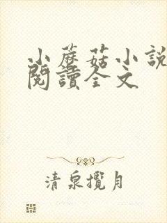 小蘑菇小说免费阅读全文