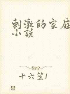 刺激的家庭乱仑小说封面
