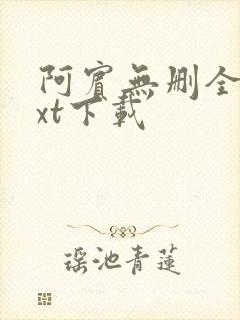 阿宾无删全文txt下载