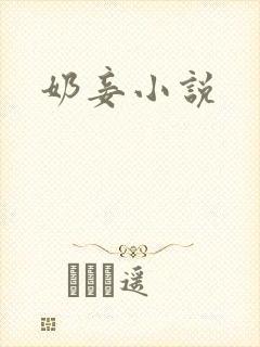 奶妾小说