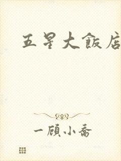 五星大饭店小说