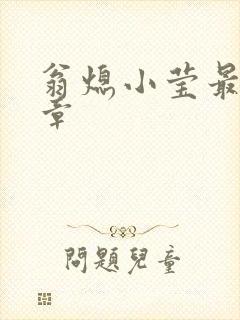 翁熄小莹最新节章封面