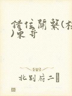 错位关系(校园)东哥封面