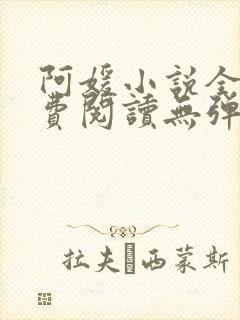 阿媛小说全文免费阅读无弹窗笔趣阁