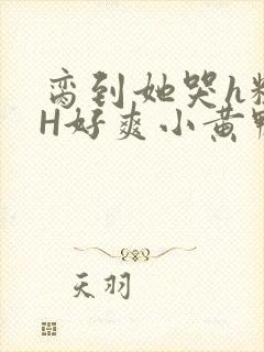 脔到她哭h粗话H好爽小黄鸭视频封面