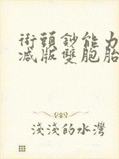 街头钞能力无删减版双胞胎