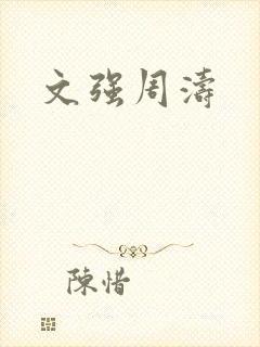 文强周涛
