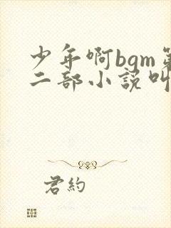 少年啊bgm第二部小说叫什么封面
