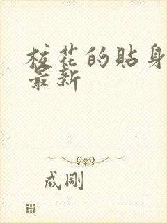 校花的贴身高手最新封面