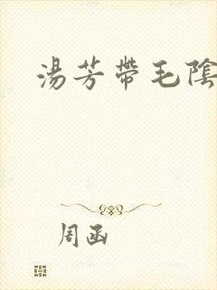 汤芳带毛阴部