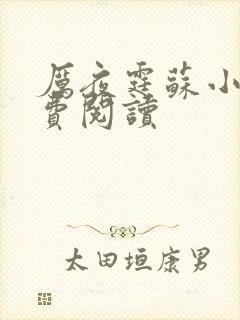 厉夜霆苏小汐免费阅读