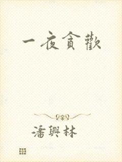 一夜贪欢
