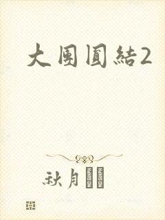 大团圆结2封面
