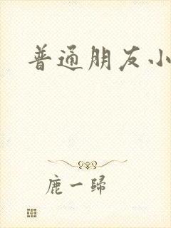 普通朋友小说封面