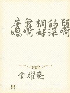 唐舞桐的堕落H嗯啊好深啊封面