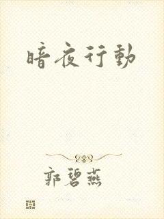 暗夜行动封面