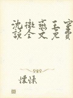 沈微燕王穿越小说全文免费阅读