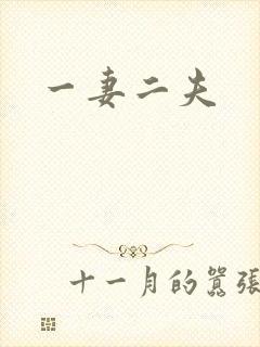 一妻二夫