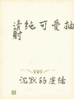 清纯可爱抽插内射