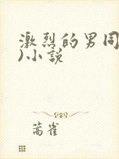 激烈的男同(h)小说