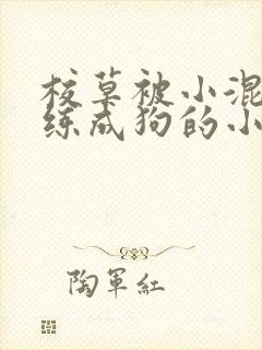 校草被小混混训练成狗的小说