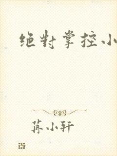 绝对掌控小说