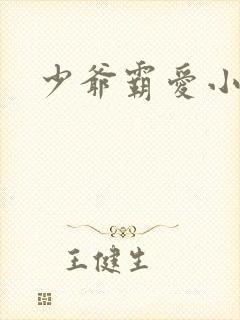 少爷霸爱小丫头