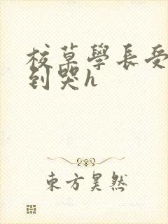 校草学长受被做到哭h