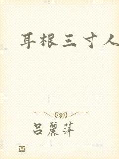 耳根三寸人间