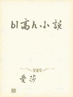 bl高h小说