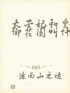 太子妃和皇帝在御花园叫什么小说