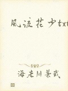 风流花少txt