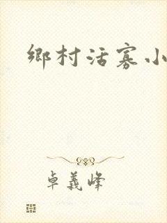 乡村活寡小说封面
