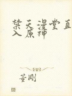 禁天漫堂直接进入原神