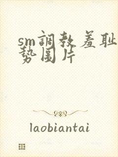 sm调教羞耻姿势图片封面