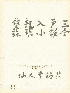 双龙入户三人行苏玥小说全文阅读封面