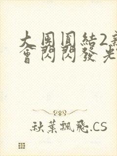 大团圆结2亲情会闪闪发光亲情会