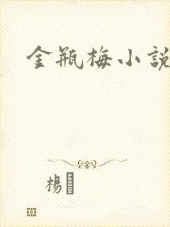 金瓶梅小说下载封面