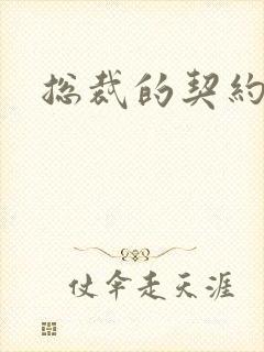 总裁的契约情人