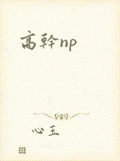 高干np