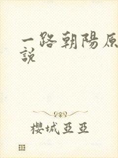 一路朝阳原著小说