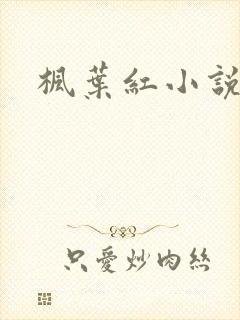 枫叶红小说