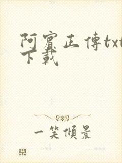 阿宾正传txt下载