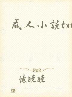 成人小说txt