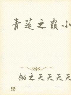 青莲之巅小说