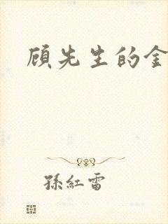 顾先生的金丝雀封面