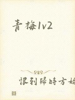 青梅1v2