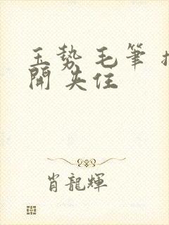 玉势 毛笔 撑开 夹住封面