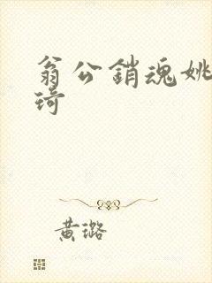 翁公销魂姚瑶琦琦